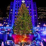 NY最大のクリスマスツリー