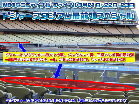 WBCドジャースタジアムの最前列席