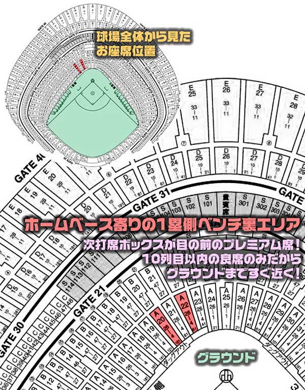 ワールドベースボールクラシック 東京ドームの座席表