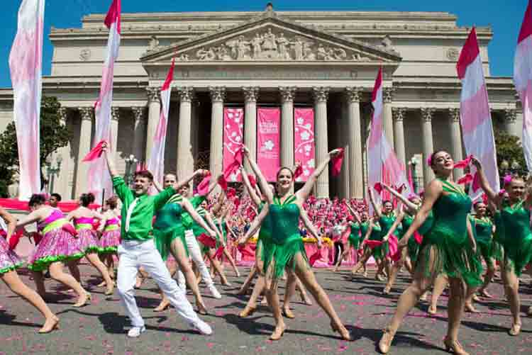 ワシントンDC桜祭り