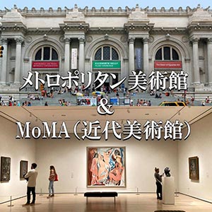 ニューヨークの観光ツアー　ニューヨーク美術館めぐりツアー